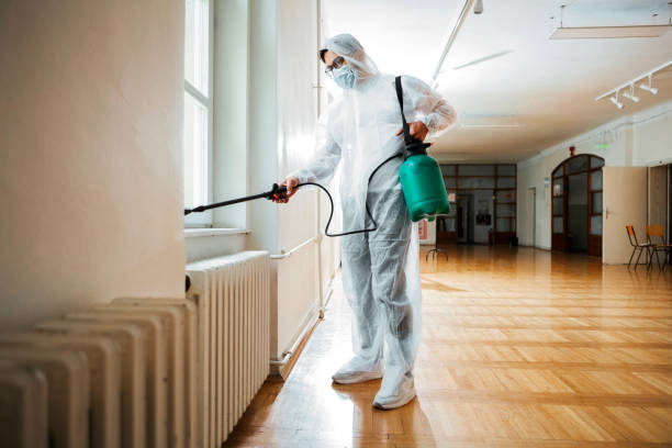 Best Affordable Pest Control Services  in Waco, TX